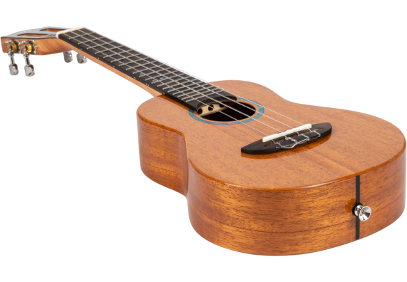 Iris Tinta Concert NA Ukulele