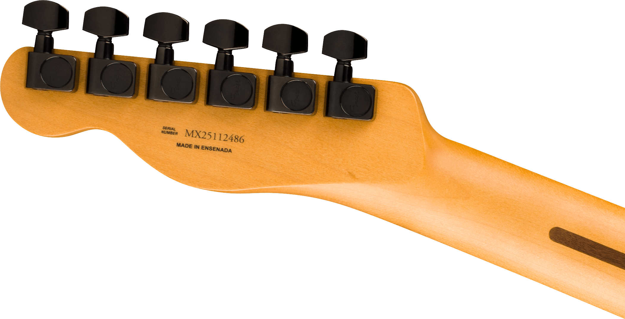 LTD Player Fusion Telecaster HH Black E-Gitarre