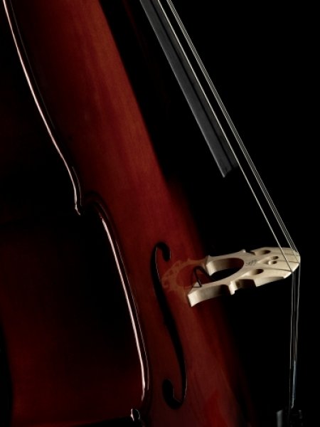 C-200 Cello Pickup