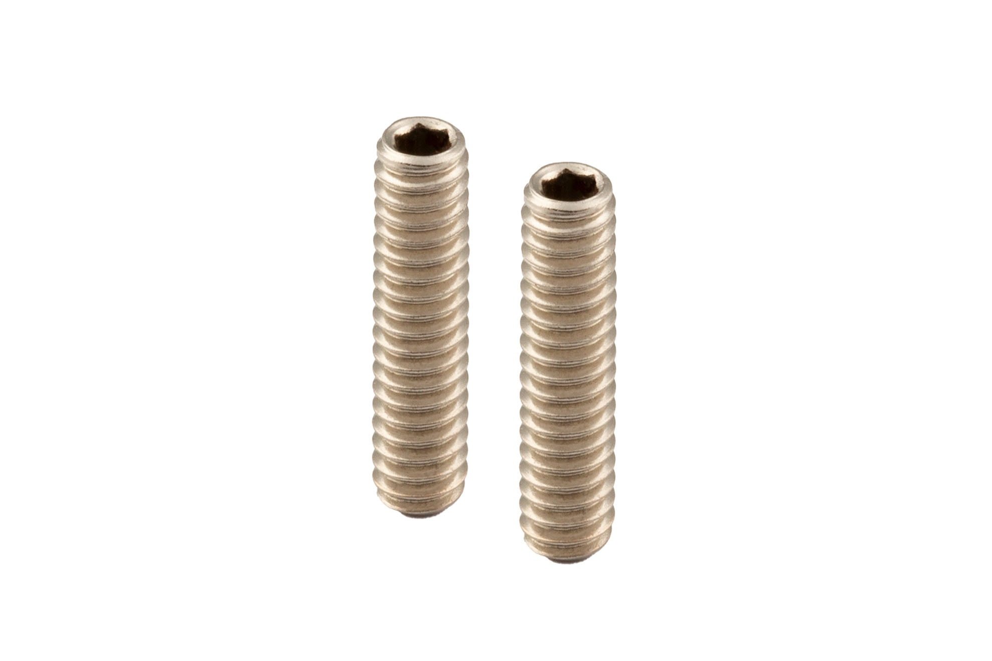 Bridge Saddle Screw - M3 x 10 mm, 2 pcs.
