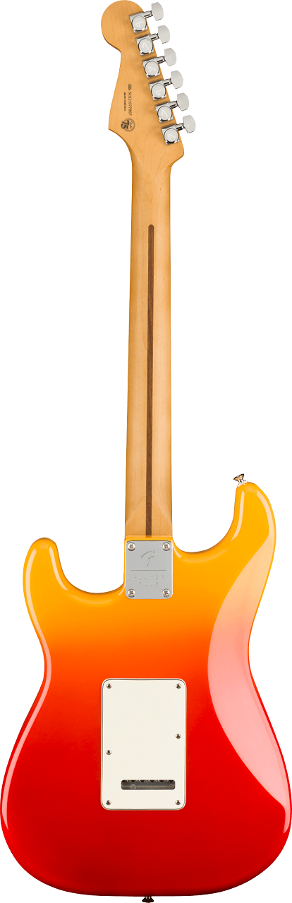 Player Plus Stratocaster®, Tequila Sunrise