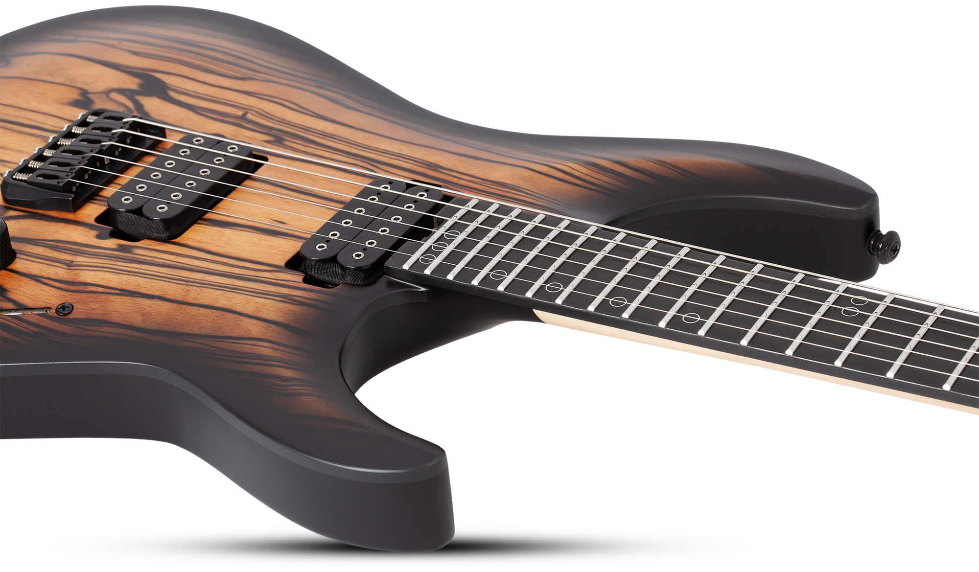 C-1 Pale Moon Satin Natural Black Burst E-Gitarre