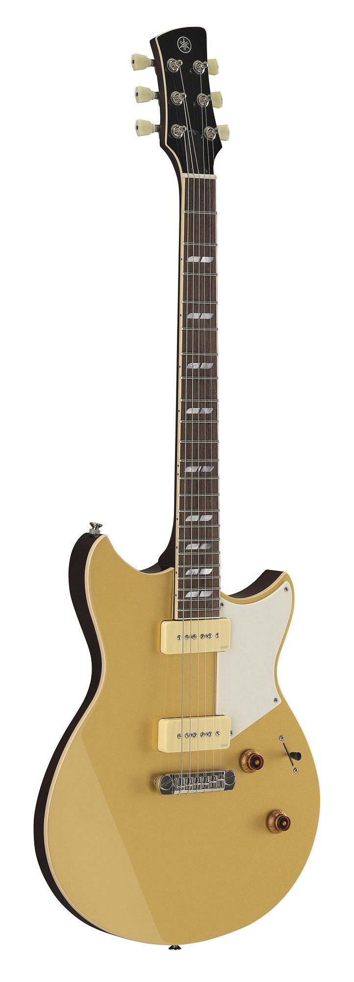 Chris Buck RS02CB Honey Gold E-Gitarre