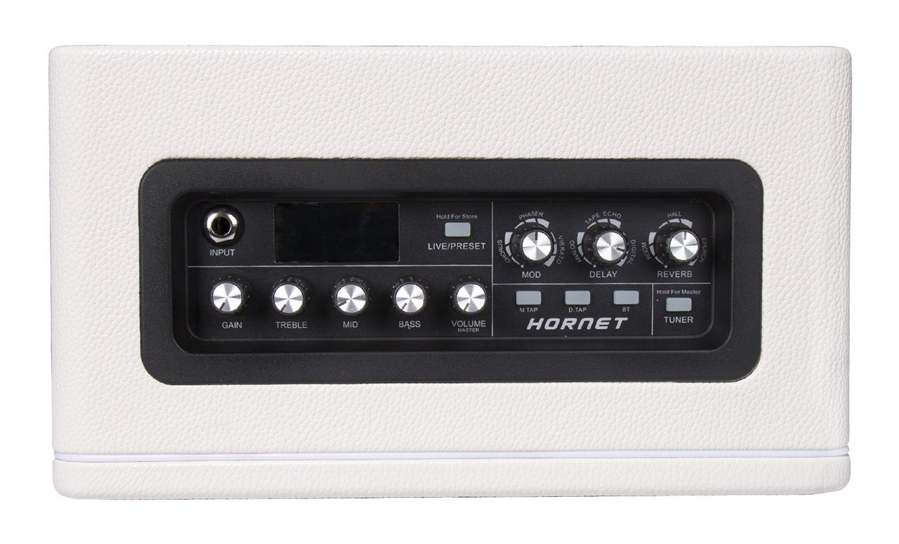 Hornet White 30W Guitar Amplifier - White