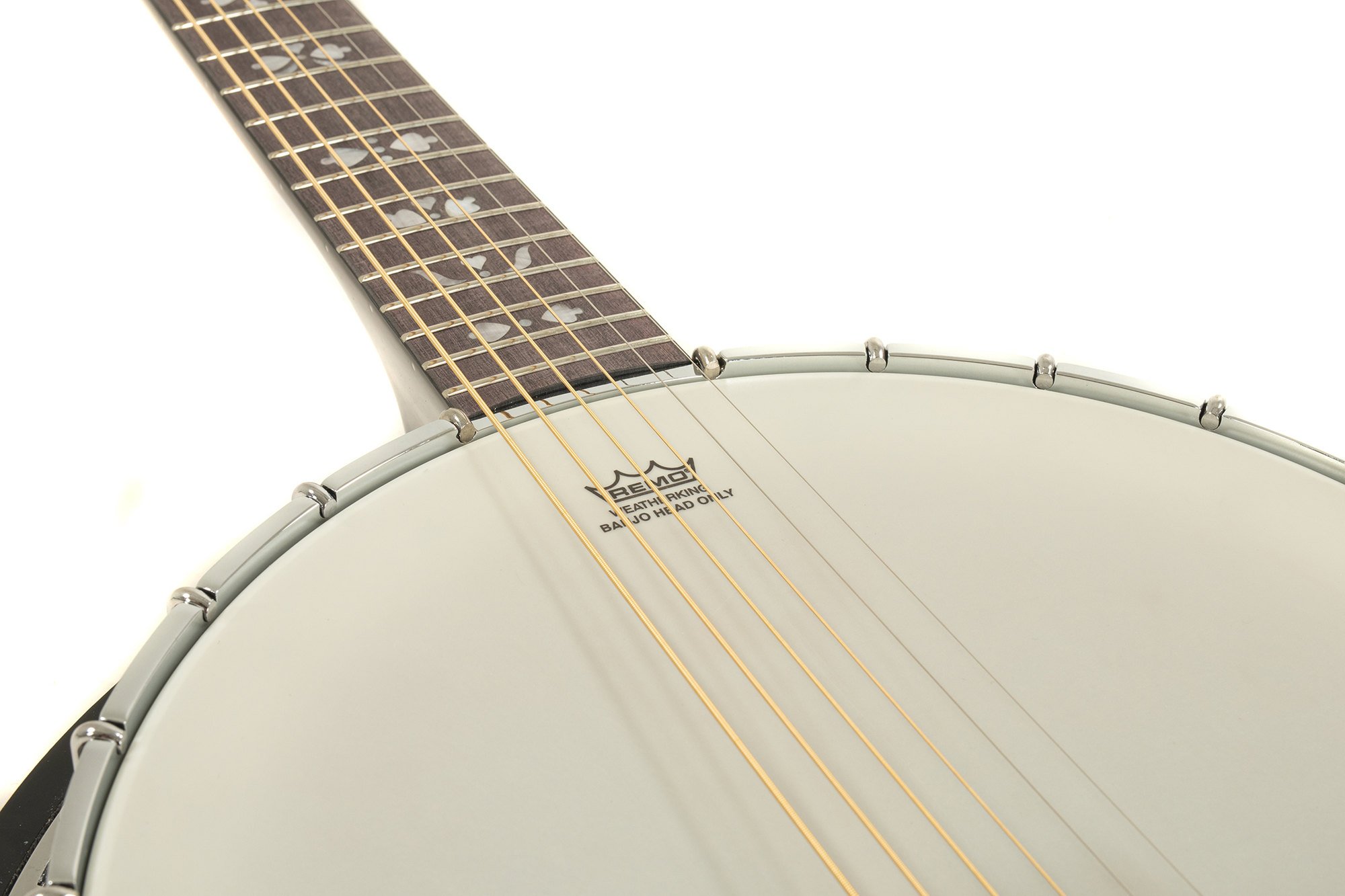 VGS Banjo Premium 6-string