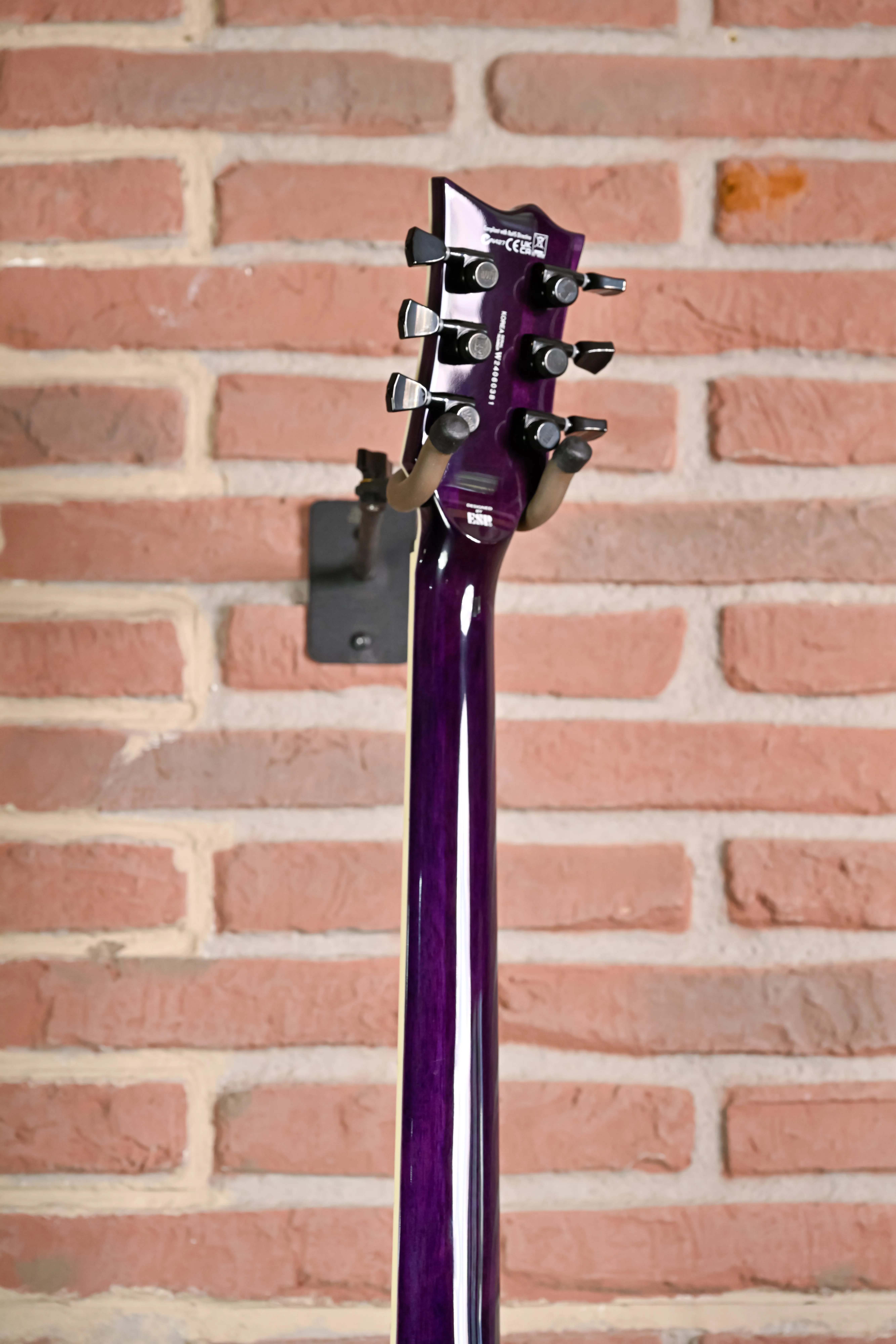 EC-1000 FMSTP Flamed Maple See Thru Purple E-Gitarre