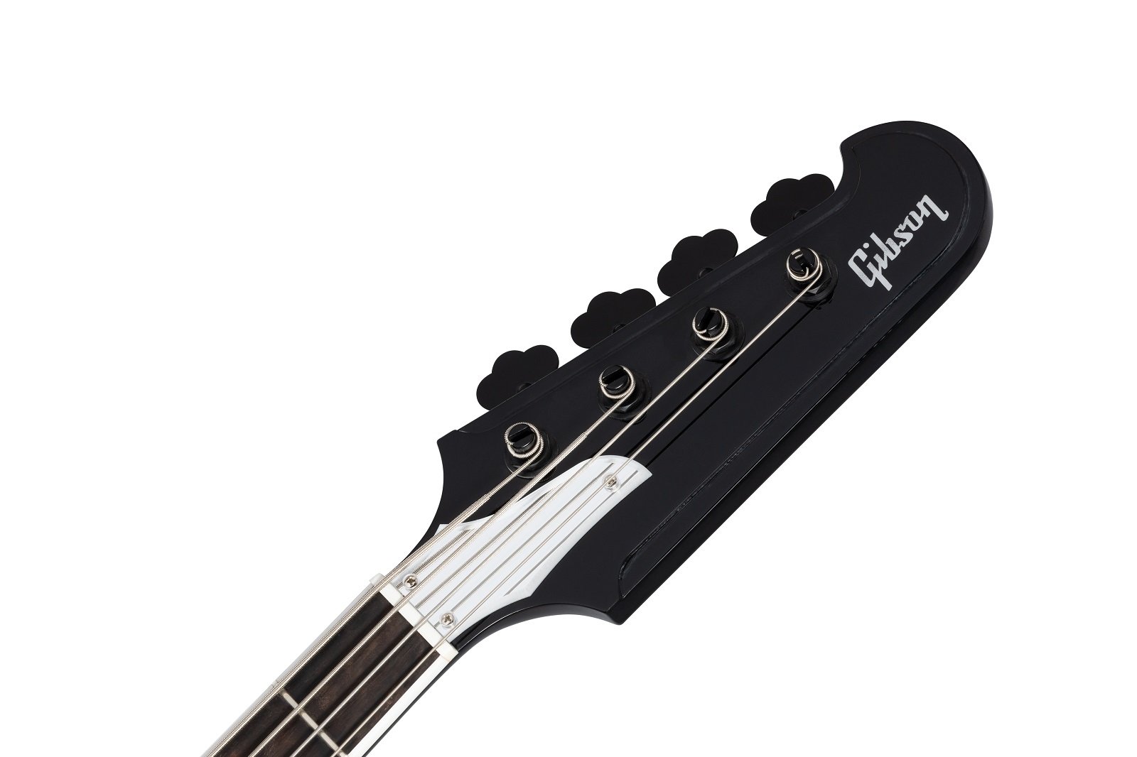 Gene Simmons G2 Thunderbird
