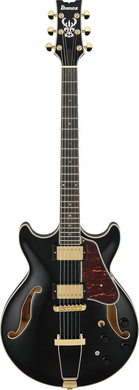 AMH90-Black Hollowbody E-Gitarre