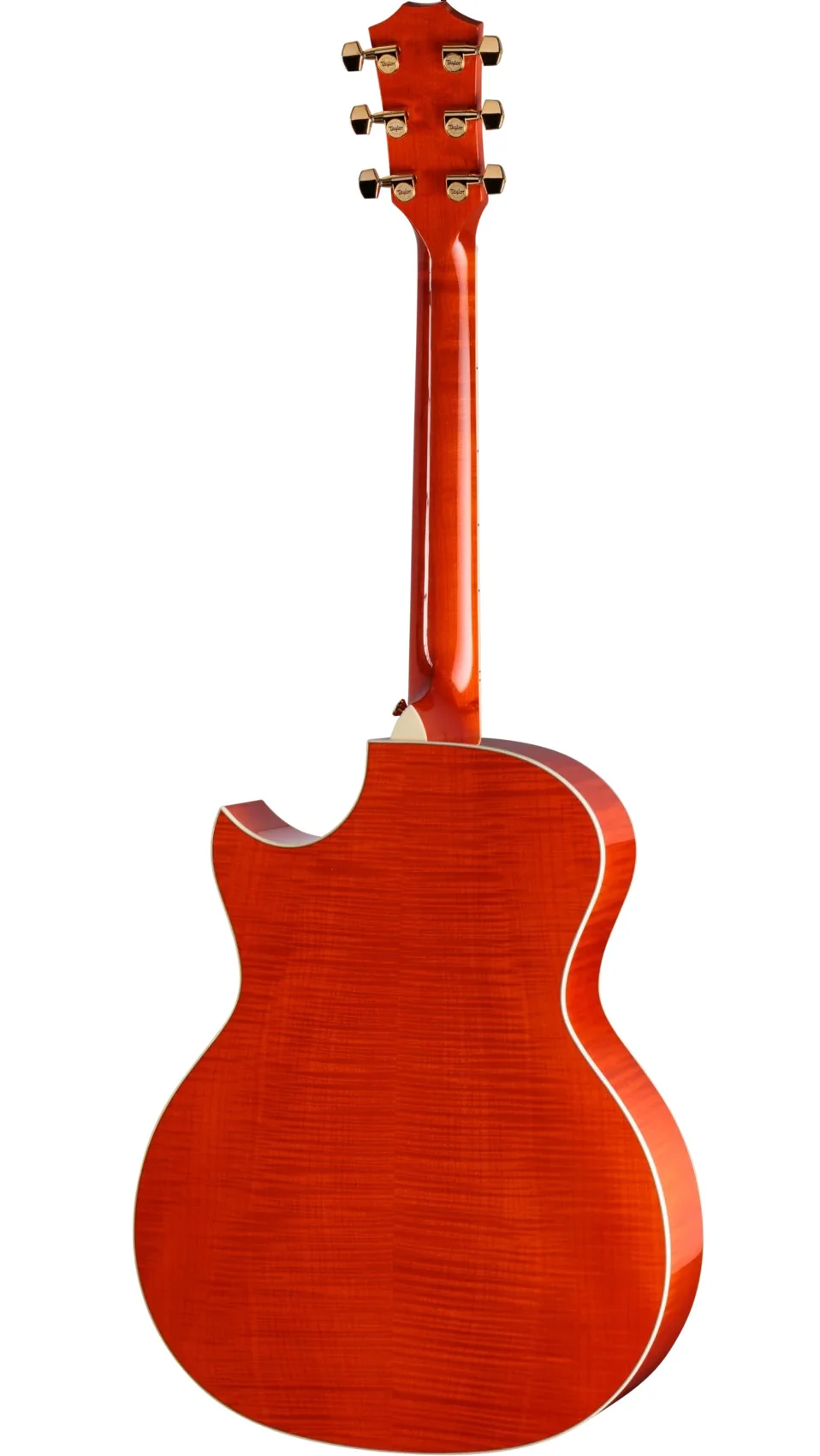 Taylor Doyle Dykes Signature Model Ahorn Korpus Rückseite