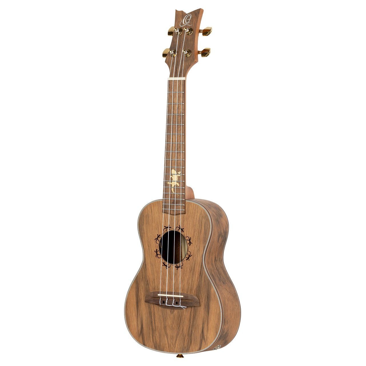 RLIZARD-CC Ukulele Concert Paldao