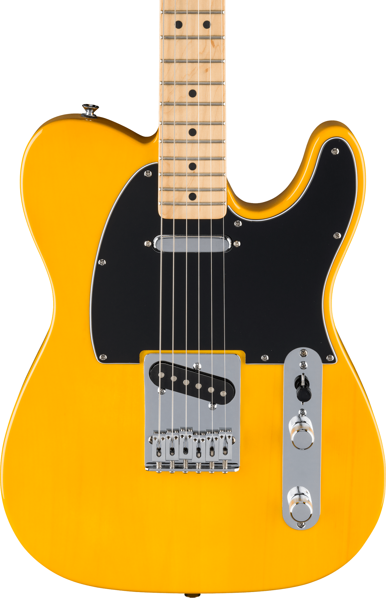 Standard Telecaster Maple Fingerboard Butterscotch Blonde