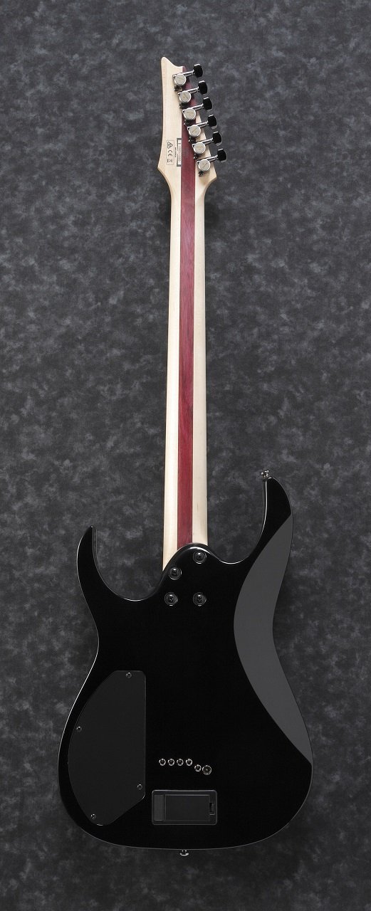 RGIB21-BK Iron Label · E-Gitarre