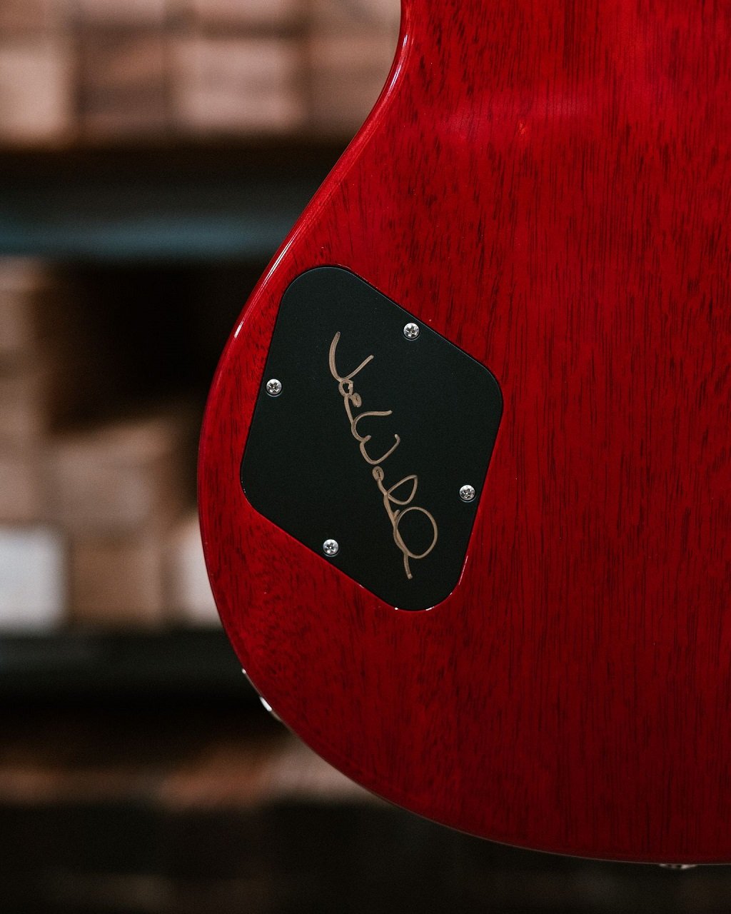 Joe Walsh McCarty 594 SingleCut - Limited Edition 