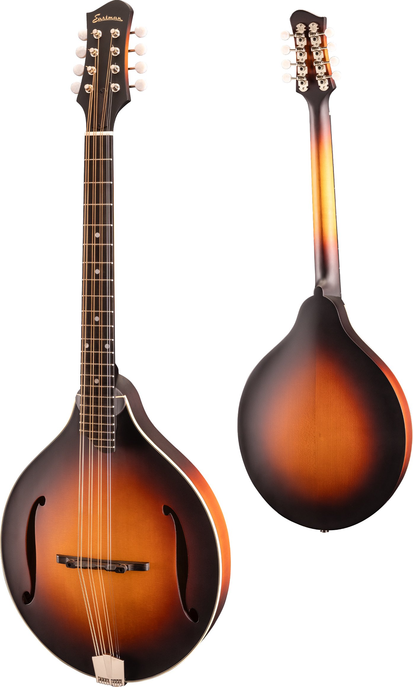 MDO305E  Sunburst