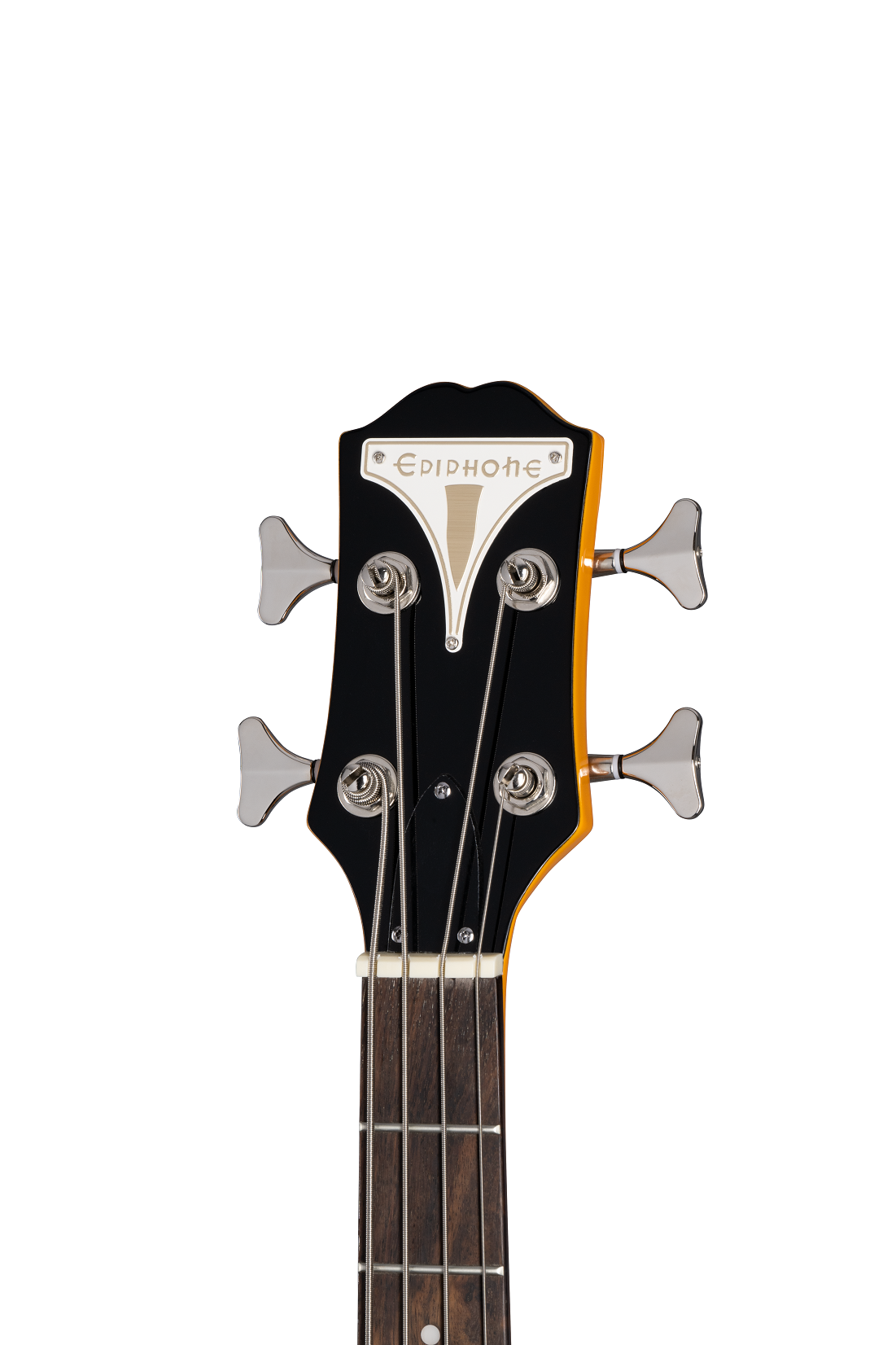Newport Bass, California Coral