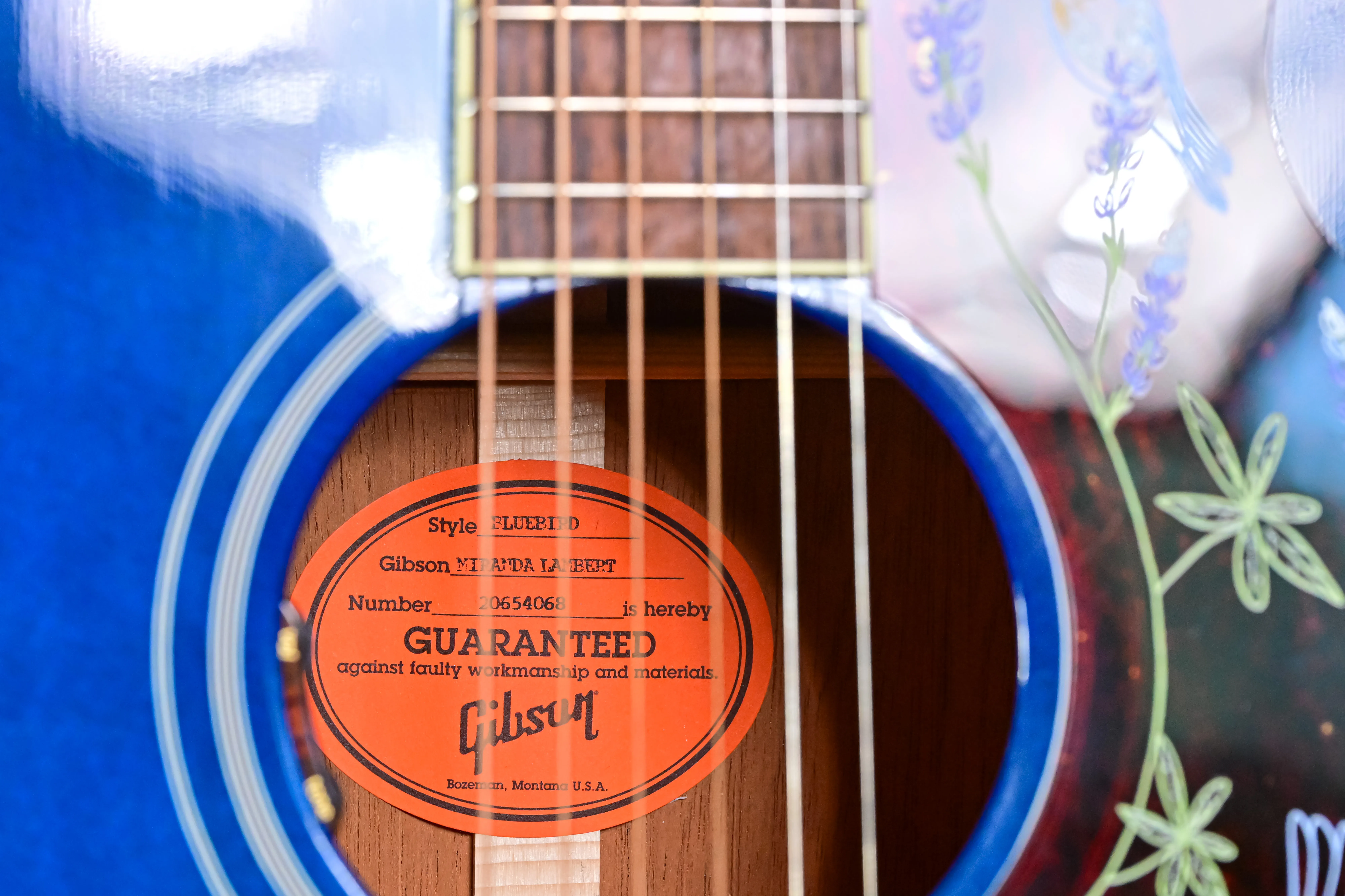 Miranda Lambert Bluebird Bluebonnet