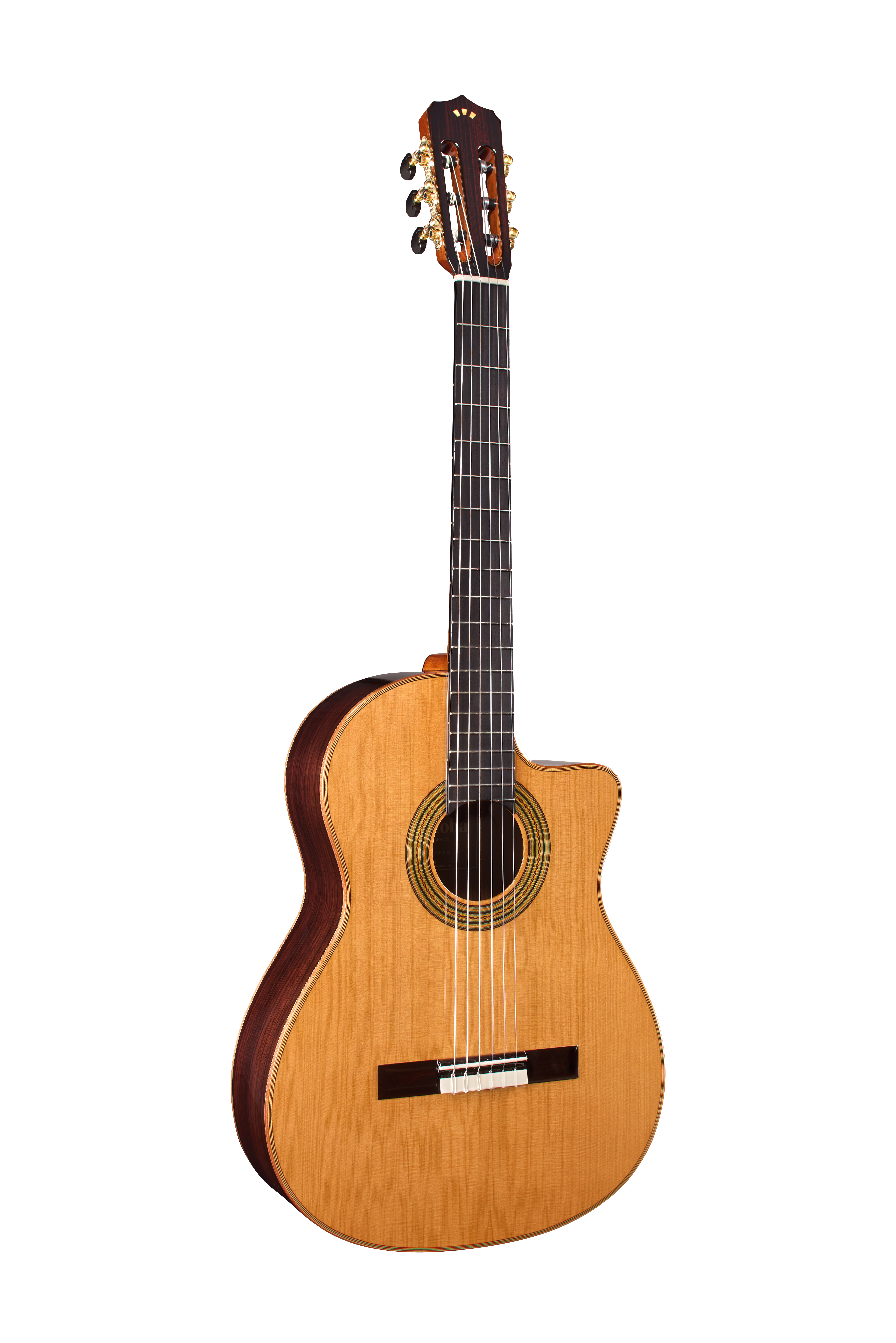 Fusion Orchestra CE Pro
