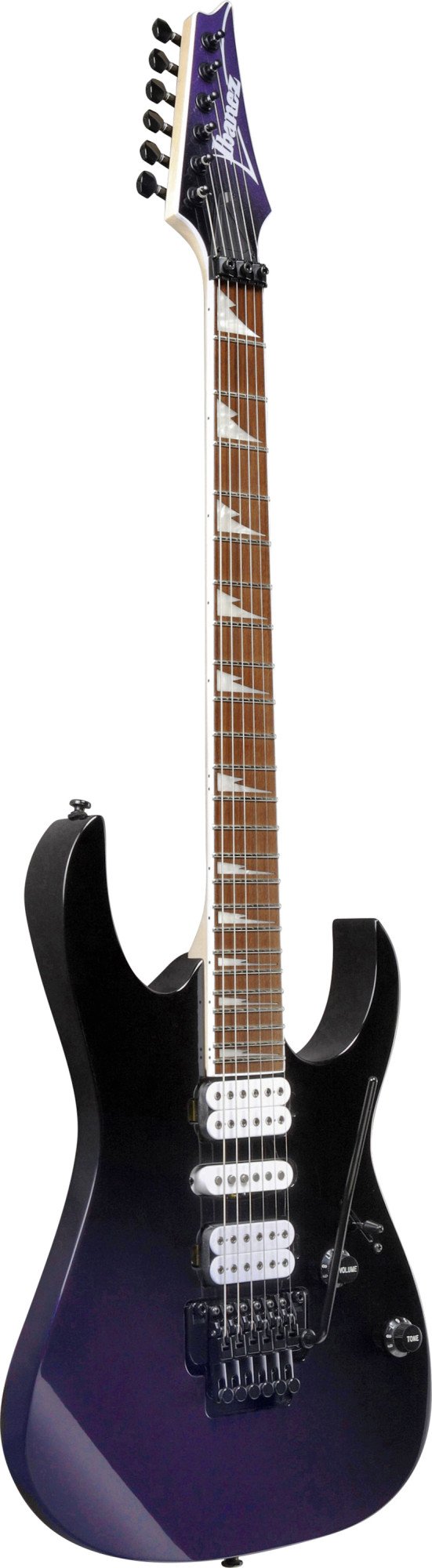 RG470DX-TMN E-Gitarre  