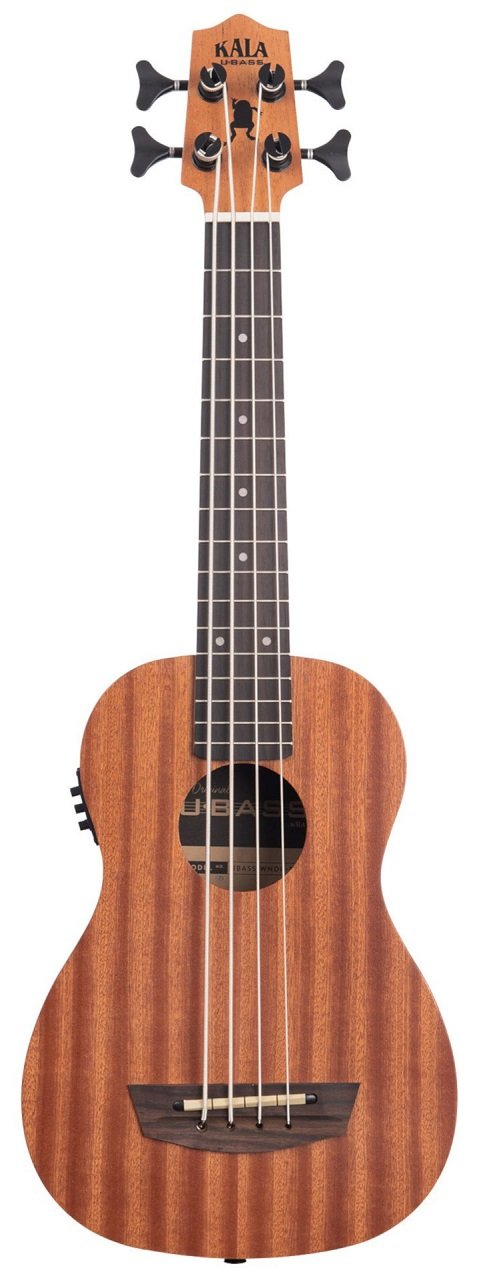 U-Bass Wanderer Fretted with Bag
