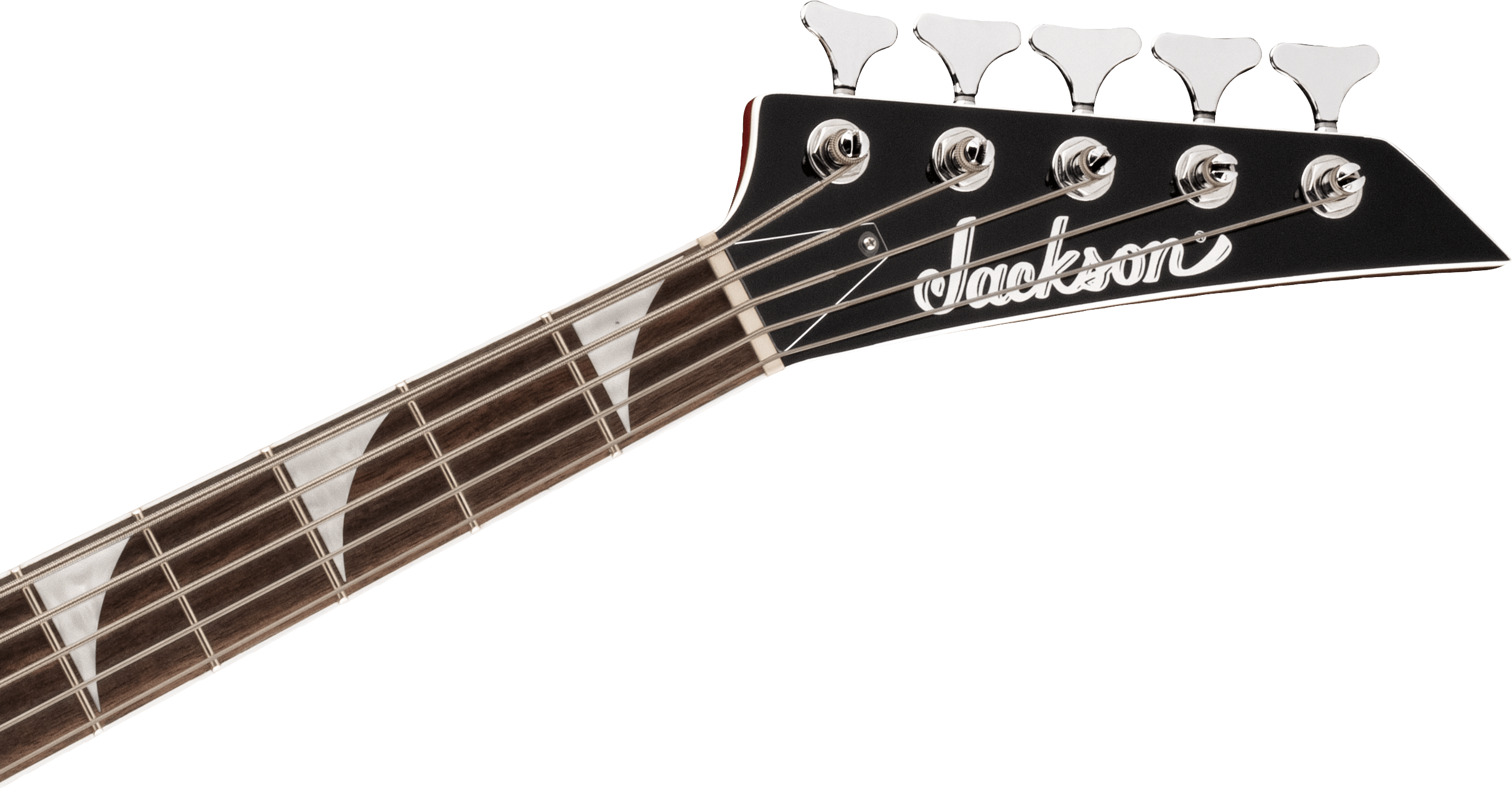 X Series Concert Bass™ CBXNT DX V, Laurel Fingerboard, Fireburst