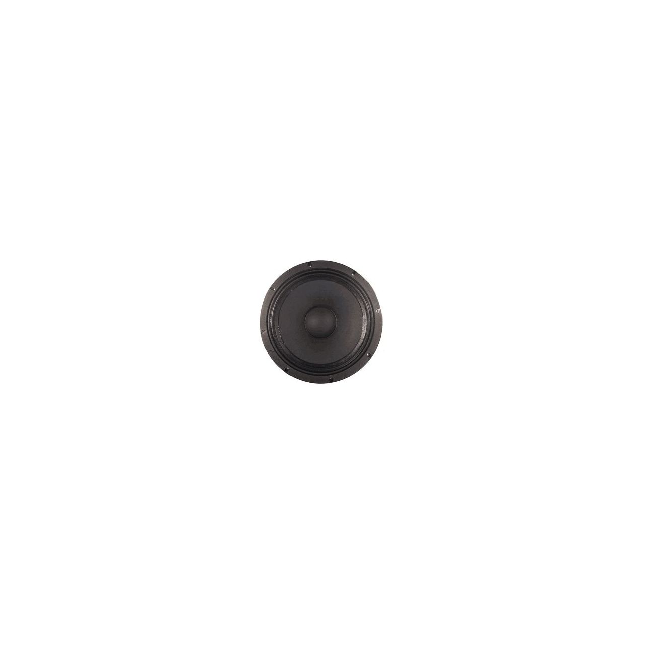 L18 P300 - 8 Ohm Speaker
