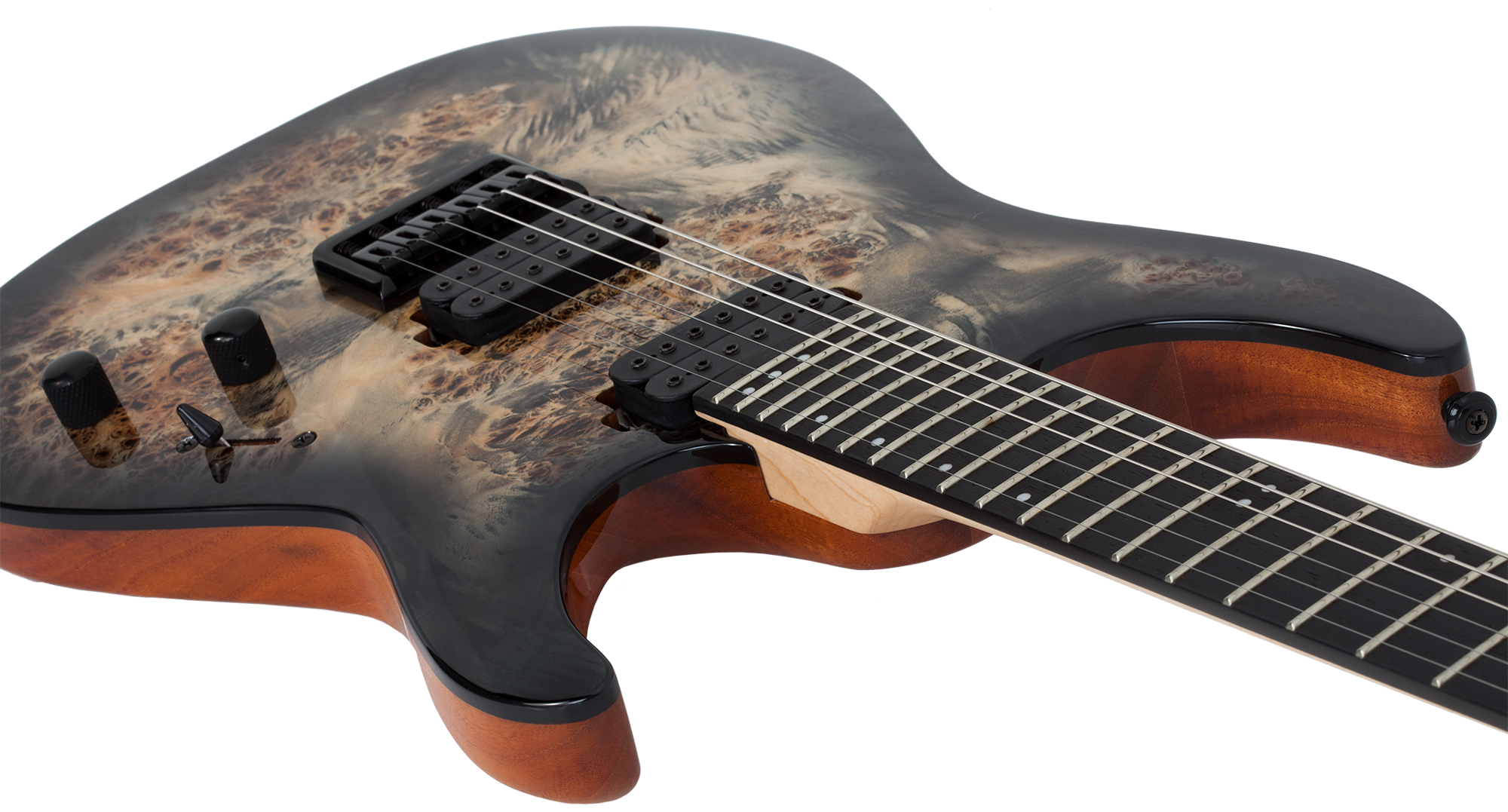 C-6 Pro E-Gitarre in Charcoal Burst