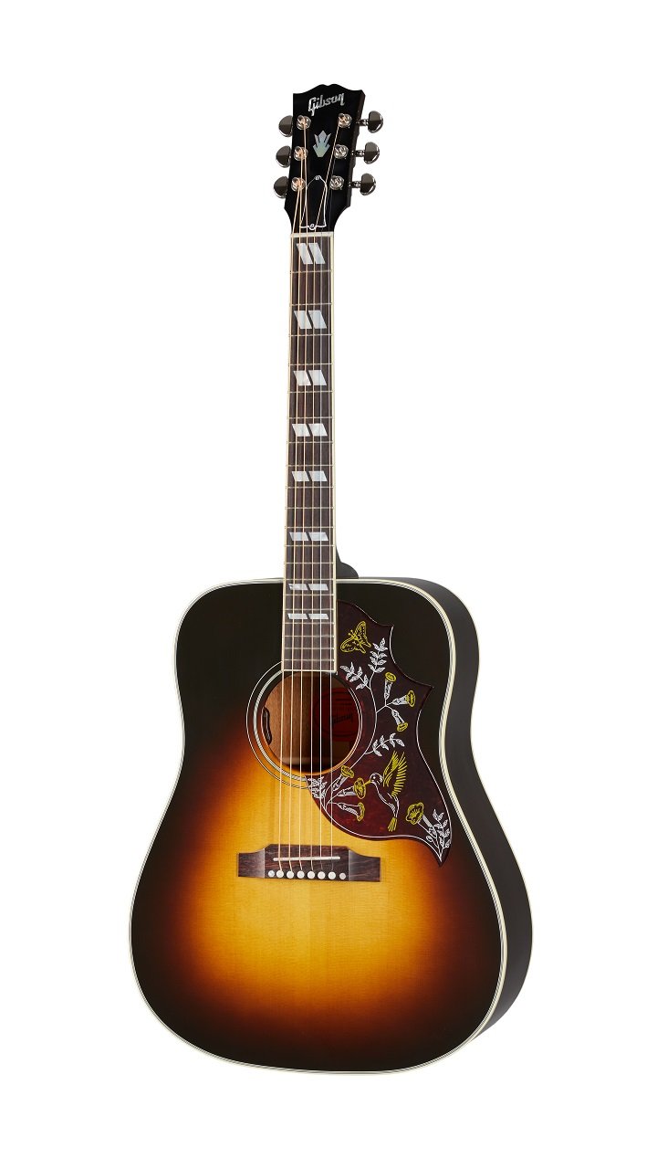 Hummingbird Standard