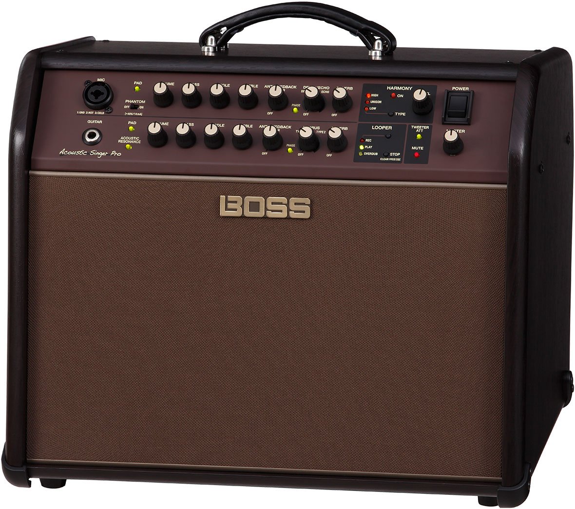 Acoustic Singer Pro Combo - 120 Watt