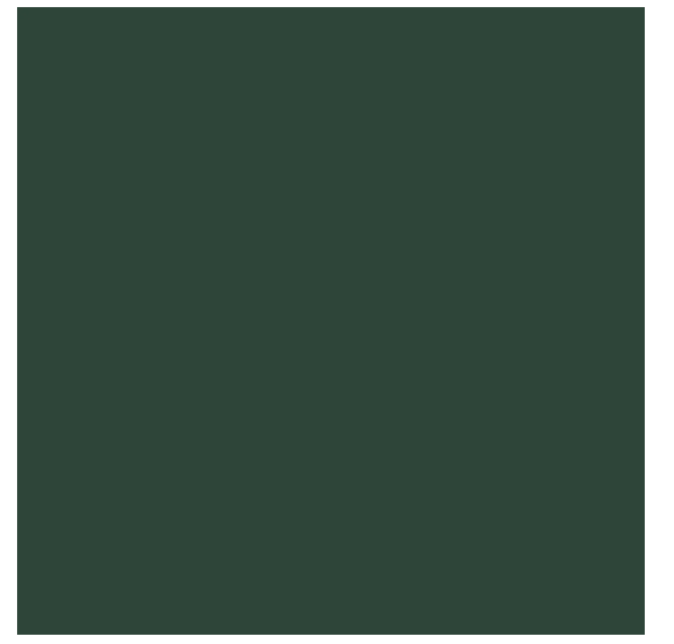 Nitrocelluloselack Paisley Green - 400ml Aerosol