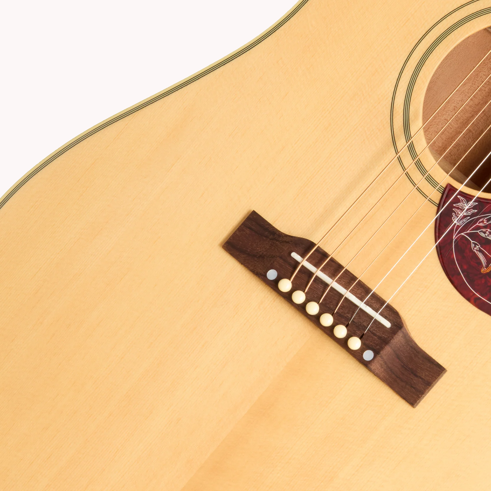 Hummingbird Standard EC Natural