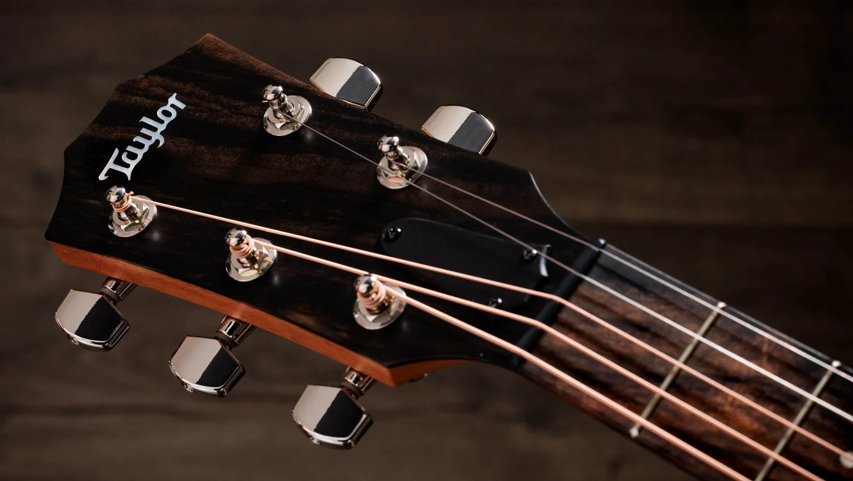Jacob Collier Academy 22e 5-String Walnut