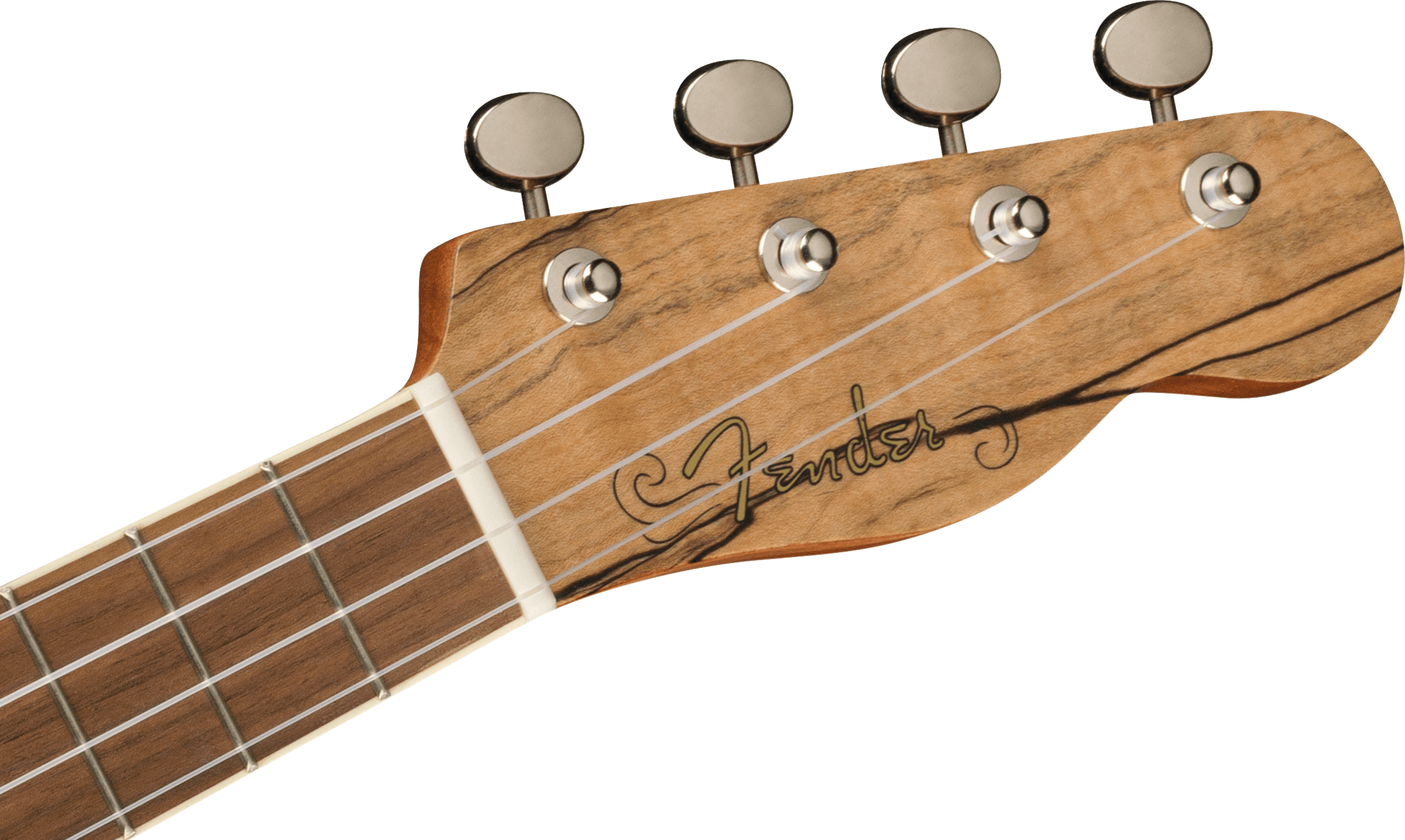 Zuma Exotic Concert Ukulele, Walnut Fingerboard, Spalted Maple