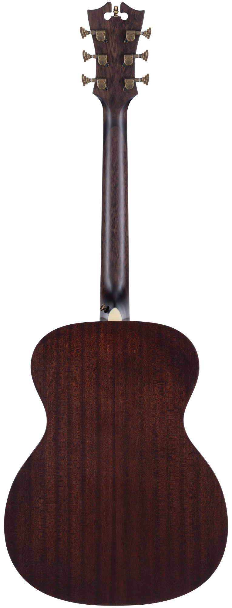 Premier Tammany Aged Burst