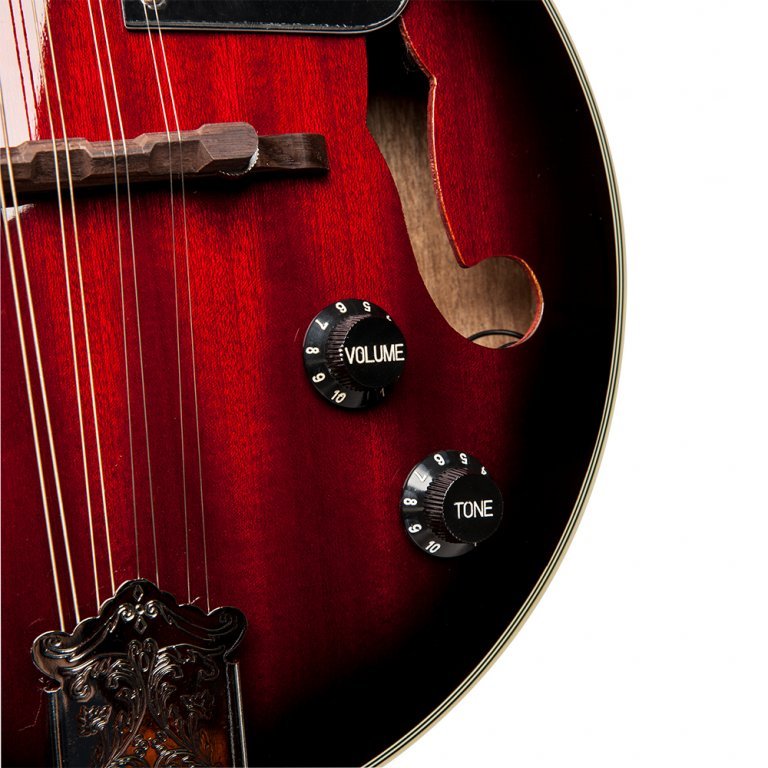 M50 E Mandoline