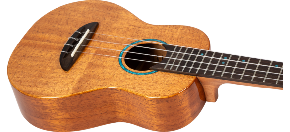 Iris Tinta Concert NA Ukulele