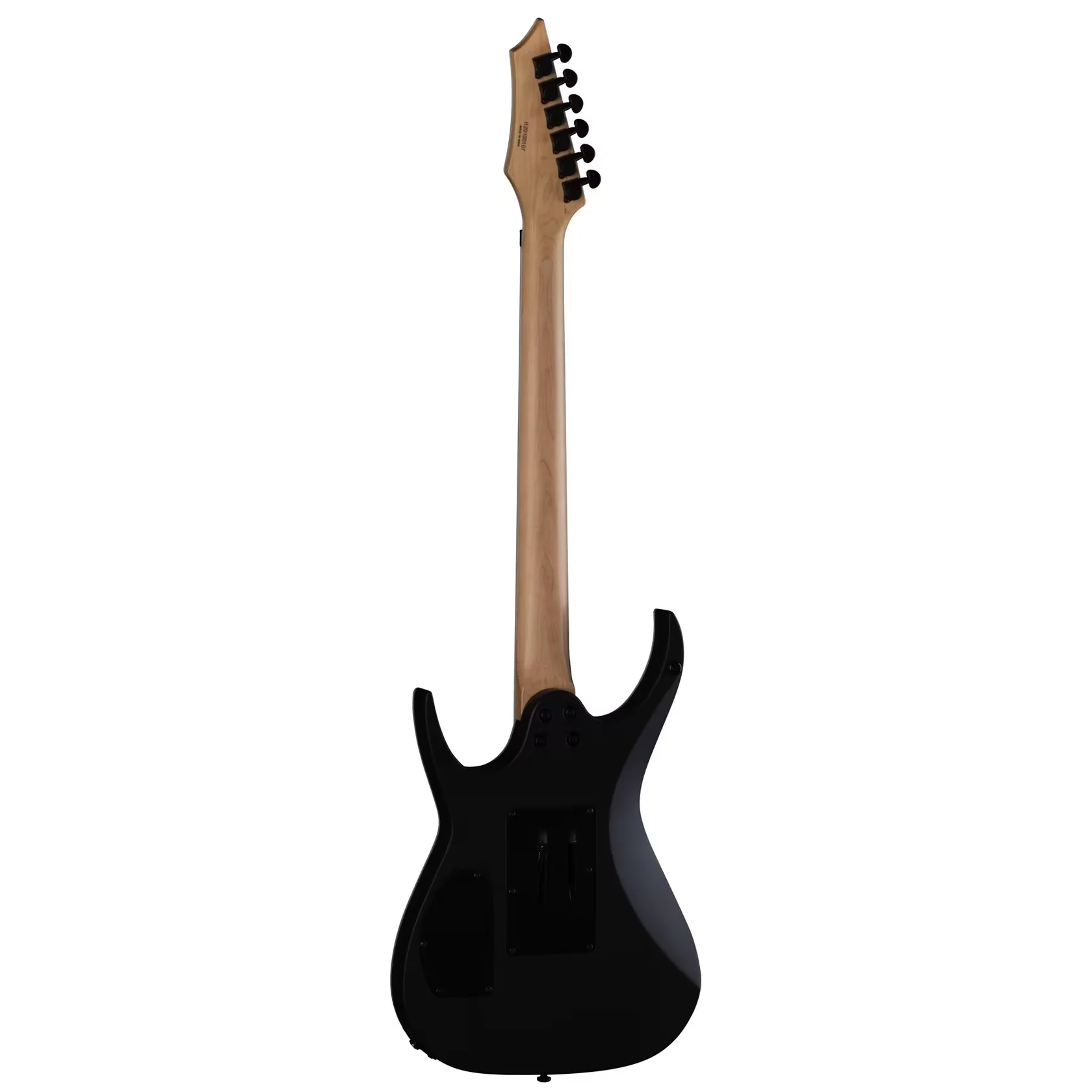 Exile X Floyd - Black Satin E-Gitarre
