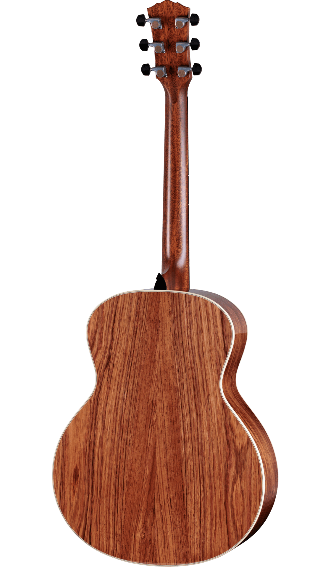 Taylor Gold Label 814e Hinteransicht