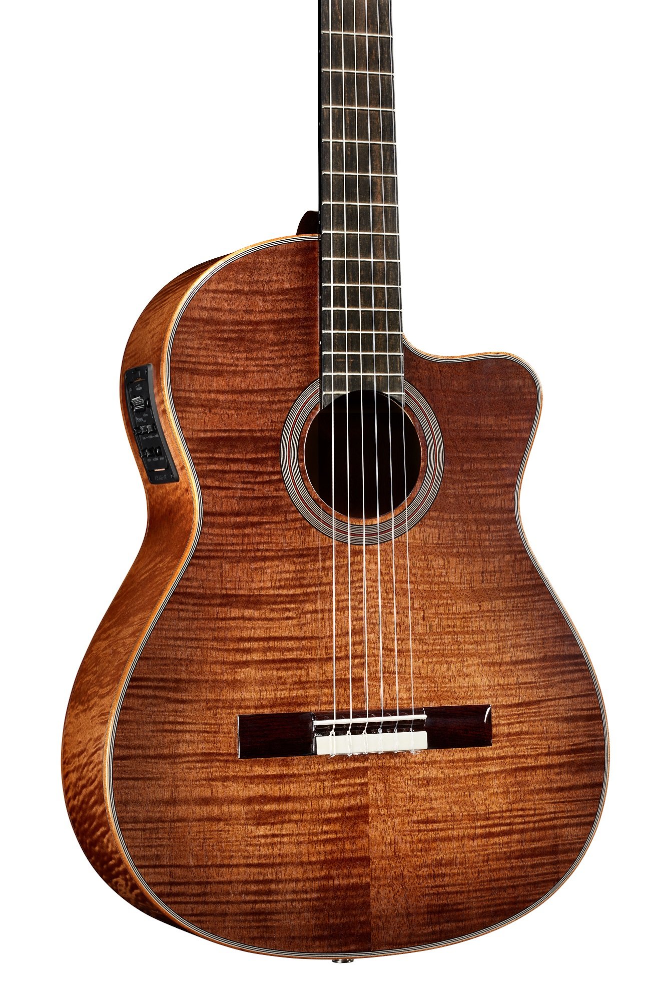 Fusion 12 Cinnamon Burst