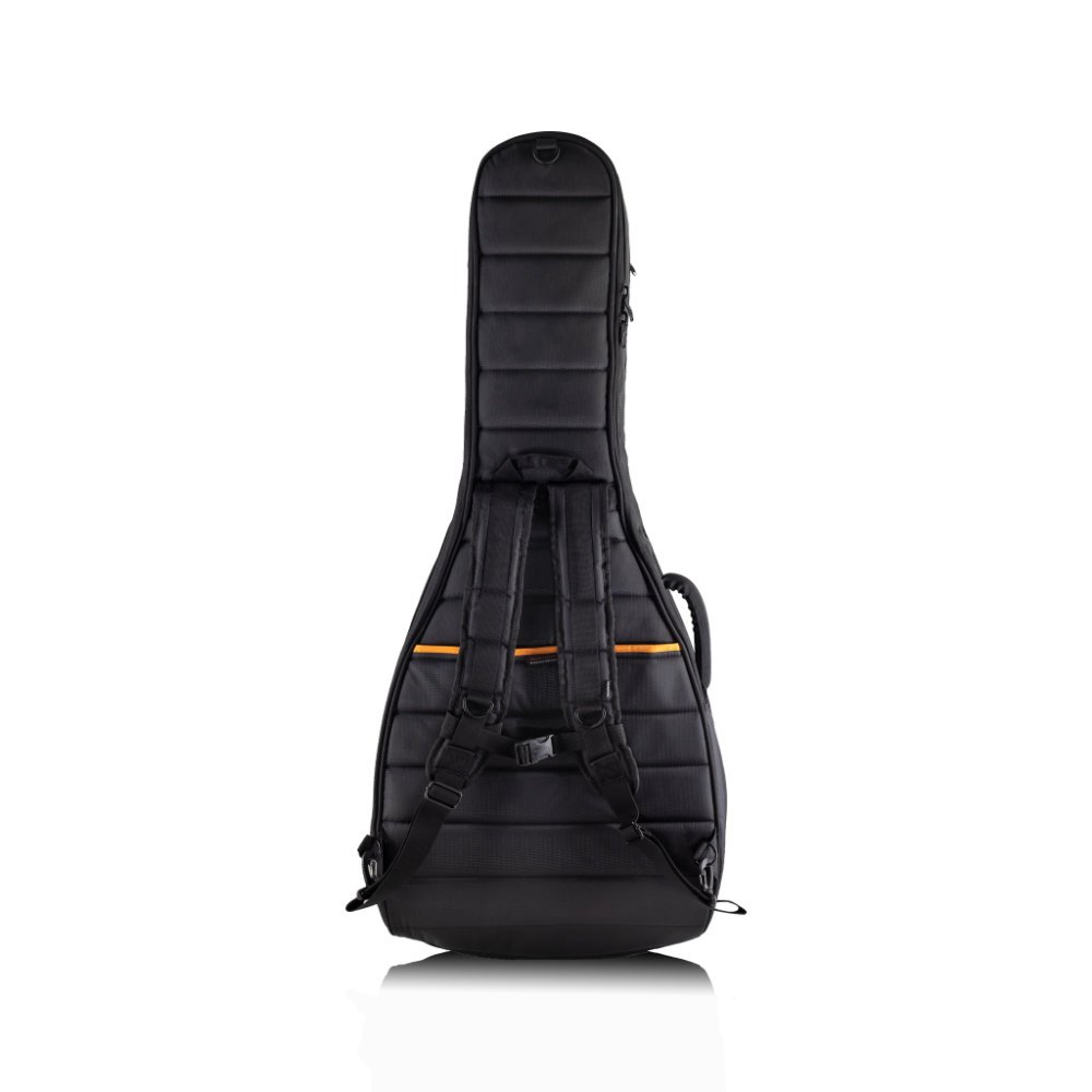 Classic Dual Semi-Hollow Electric Case