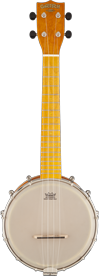 Traditional string instruments