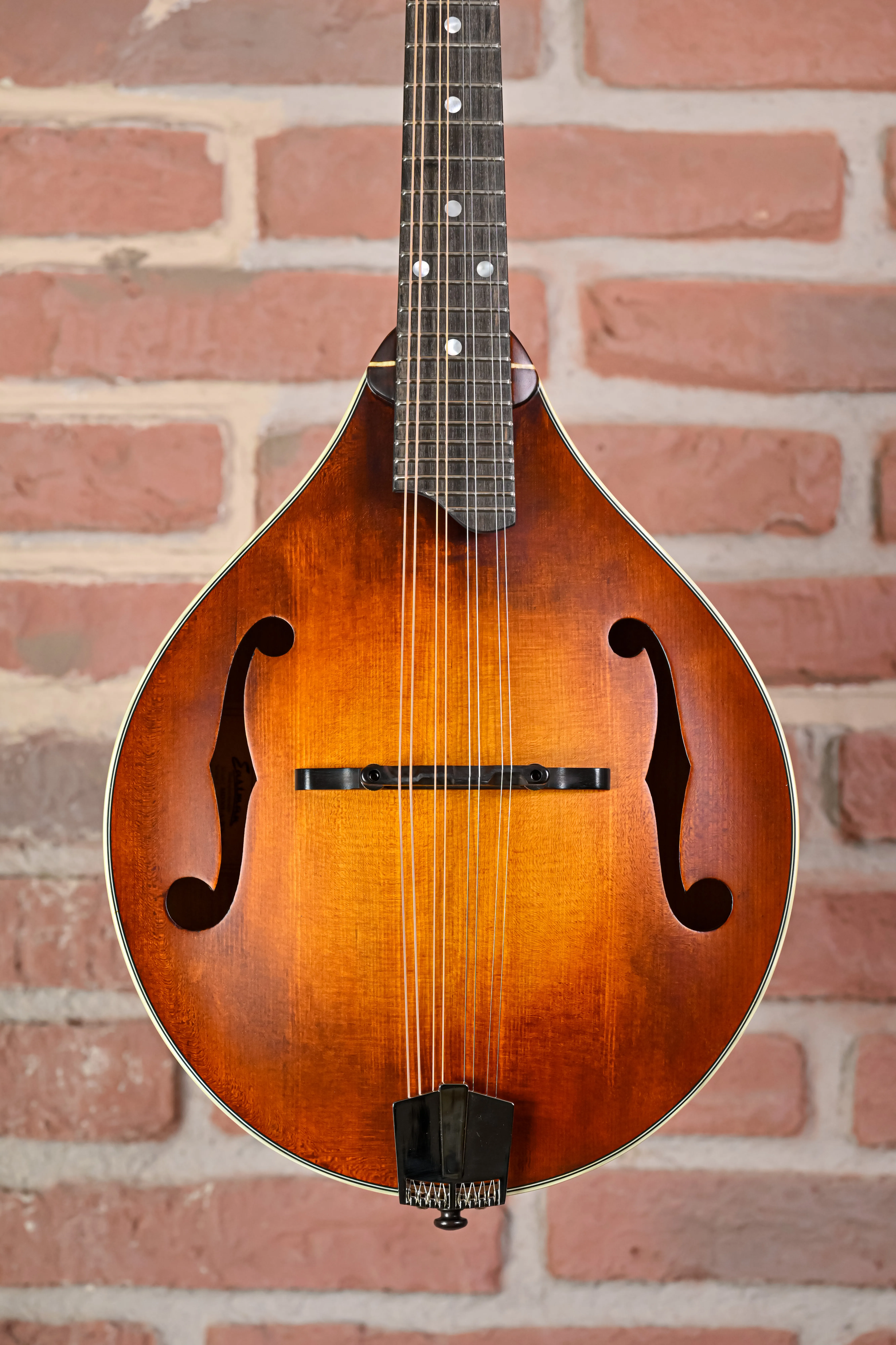 Eastman MD305 Adirondack Amberburst Optik