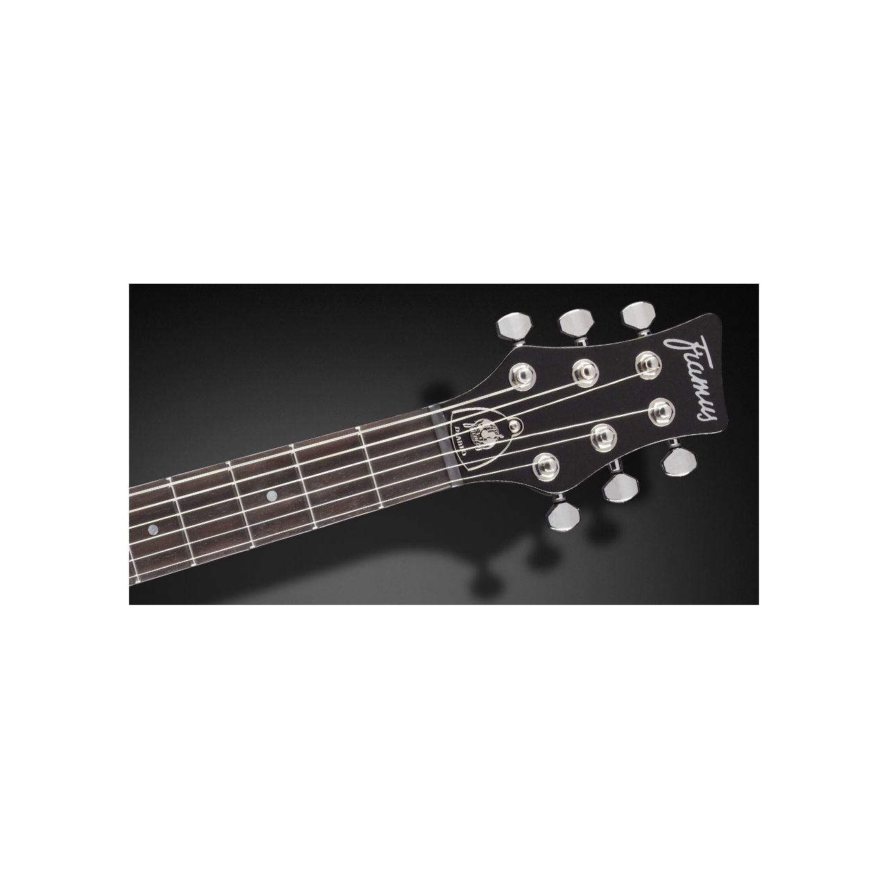 FDS Diablo Pro Nirvana Black - E-Gitarre