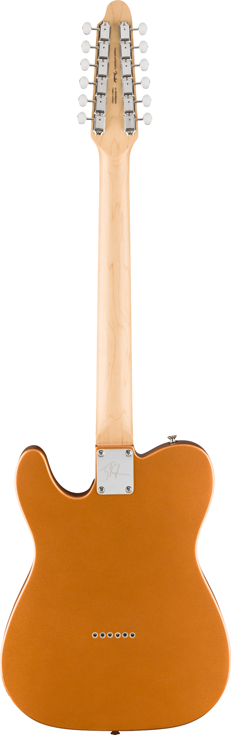 Paranormal Troy Van Leeuwen Telecaster XII Copper E-Gitarre
