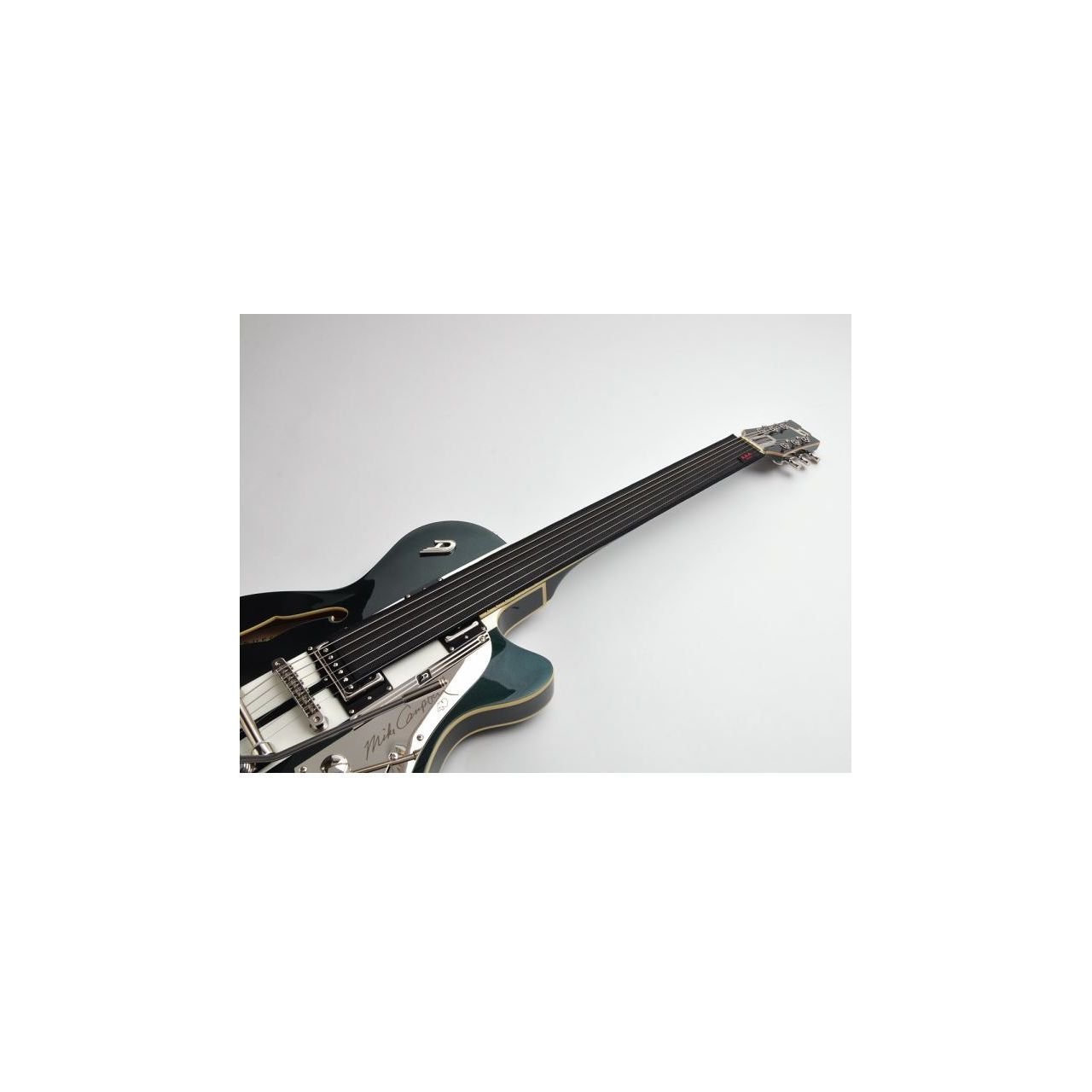 ACFSG A.A.A. Fret Shield