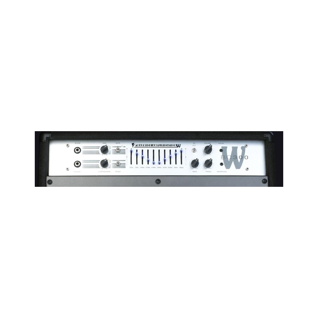 BC 300 Bass Combo
