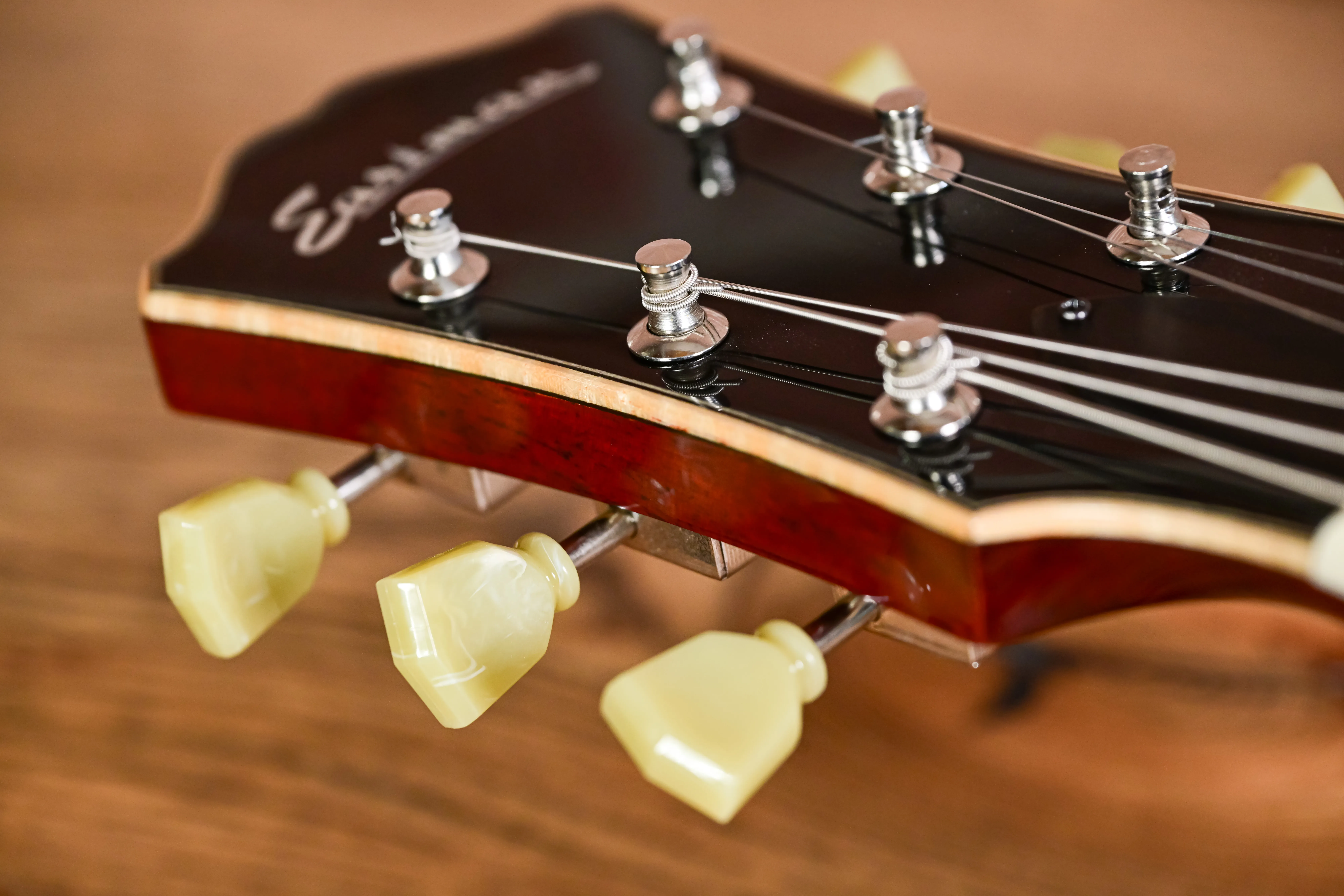 T184MX Hollowbody Thinline Bare Knuckle Pickups