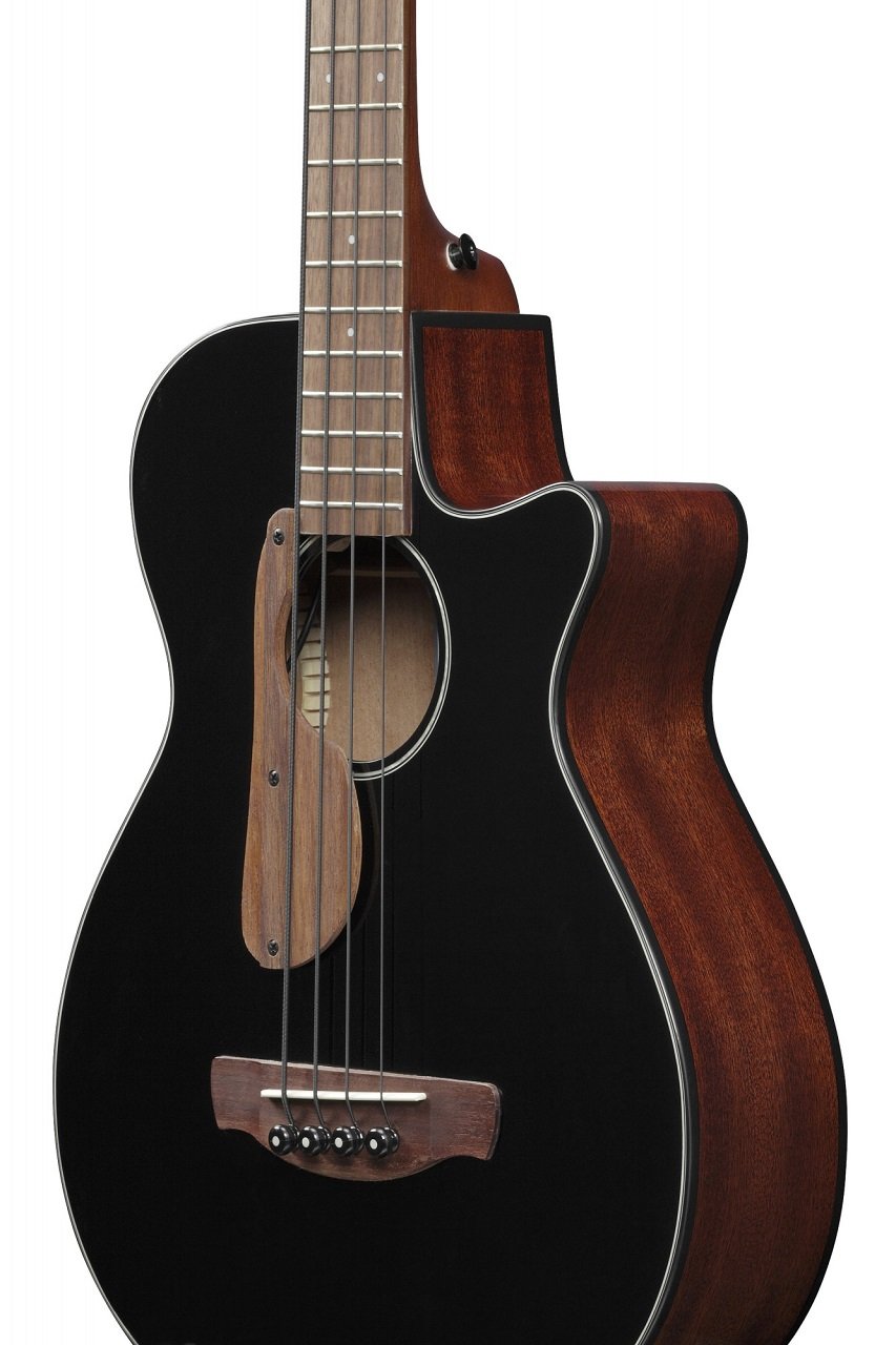 AEGB24E-BKH 4-Saiter Akustikbass 