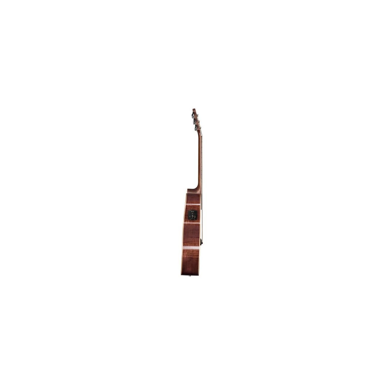 AR65S/ACE Westerngitarre
