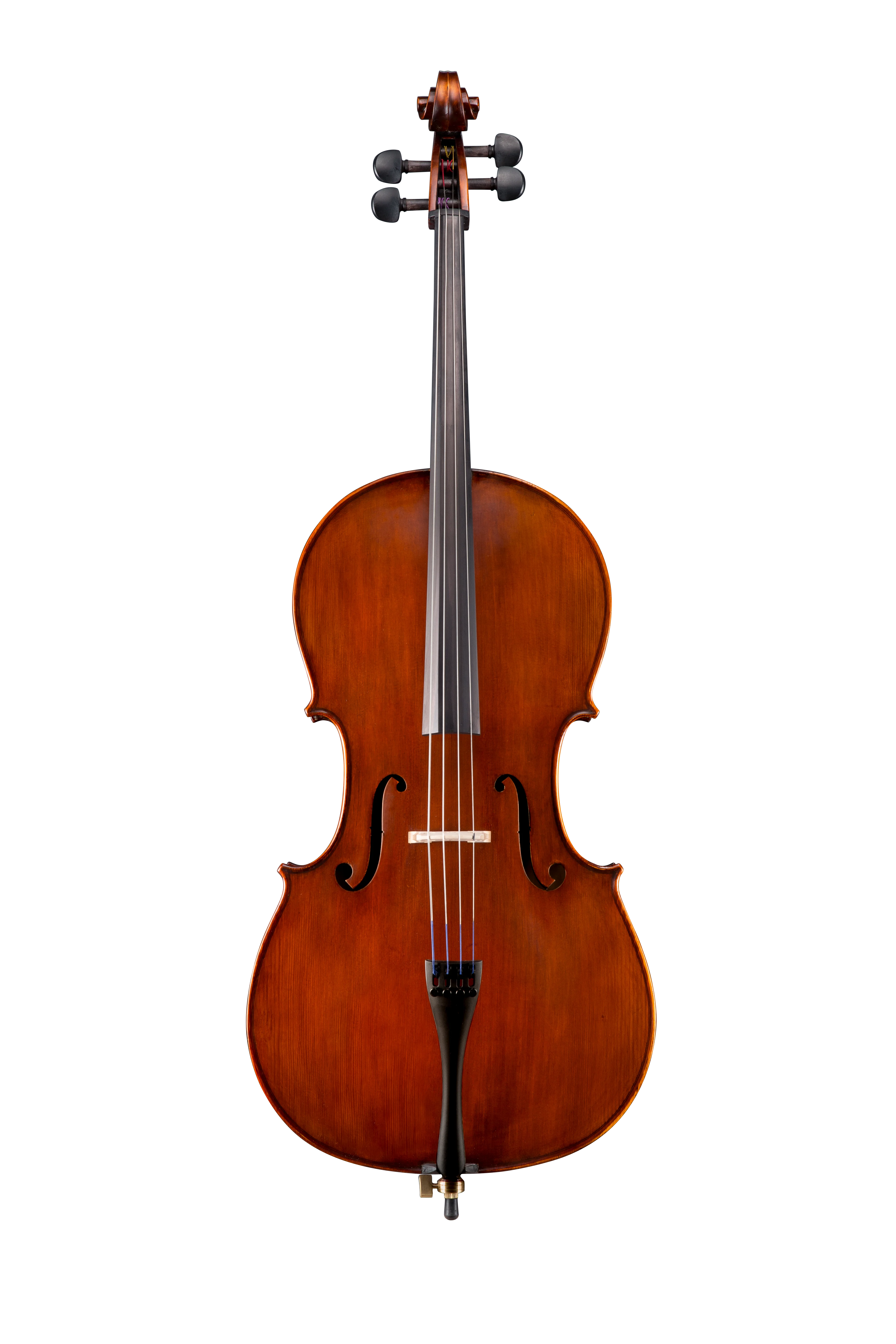 VC65 Outfit Samuel Eastman Hybrid Cello