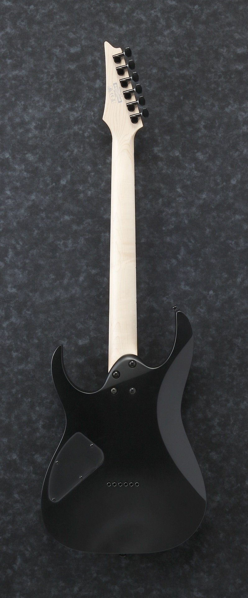 RG421EX-BKF E-Gitarre